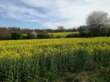 Les Lacs de l'eau d'Heure, Froidchapelle (België)